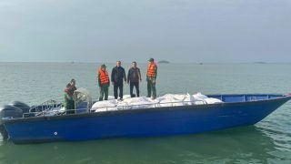 Quảng Ninh bắt giữ 3 xuồng máy chở 27 tấn cau khô không rõ nguồn gốc