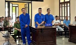 Trộm xuồng máy rồi bán rẻ 80 triệu, nhóm 3 người lĩnh gần 8 năm tù – Tin Nóng