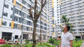 Người sinh 2 con trở lên chính thức được ưu tiên hưởng chính sách nhà ở xã hội từ 1/7/2026