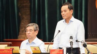 TP HCM sẽ miễn phí xe buýt cho toàn dân