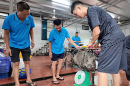Chủ khách sạn ở Cô Tô mổ lợn rừng đãi gần 50 khách lưu trú khi bão số 1 đổ bộ