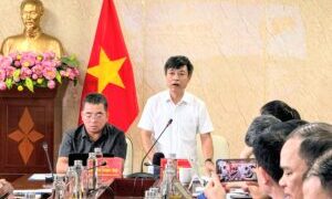 Học sinh Quảng Ninh đón “cơn mưa” chính sách: Miễn phí sách giáo khoa, sữa học đường và nhiều hỗ trợ đặc biệt